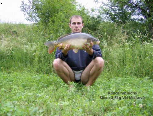 VN Mik�ov� 60cm_3,5kg