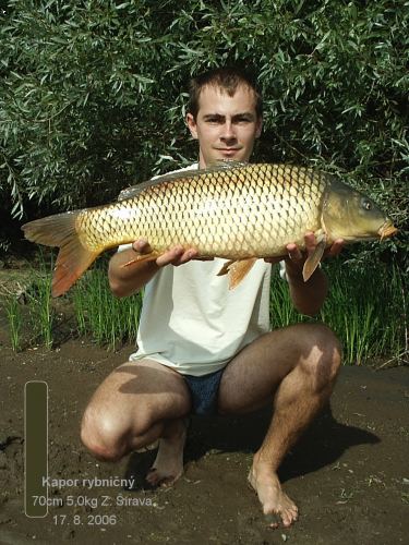 VN Z_Sirava 70cm 5,0kg