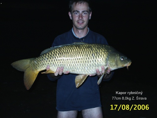 VN Z_Sirava 77cm 8,0kg