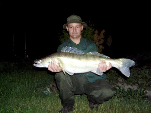 Candat 82cm