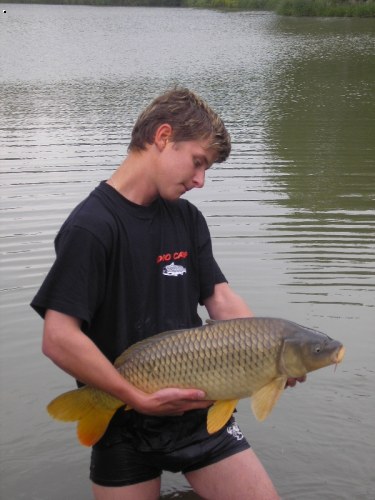 74cm