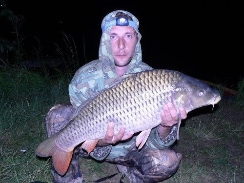 kapr-79-10kg