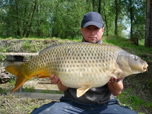 84cm - 12,6kg