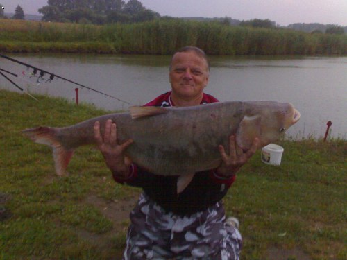 Tolstolobik 102cm.18kg  Mok��d 