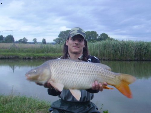kapr 80cm