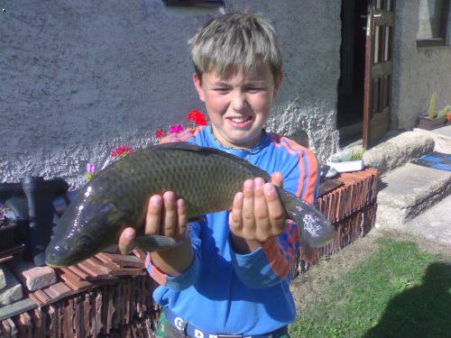 Kapr 46cm
