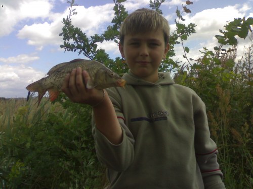 Kapr 39cm