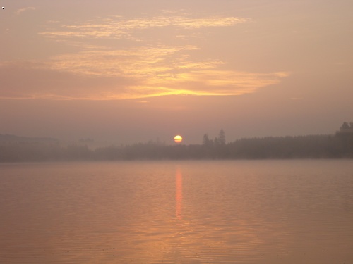OSIKA 2006