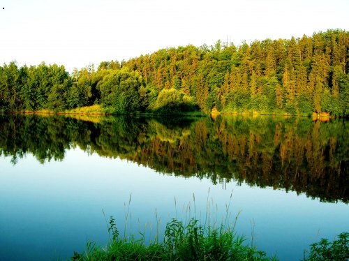 p�skovna Ko�ensko