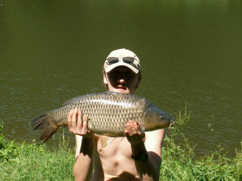 Kapr z Liberka