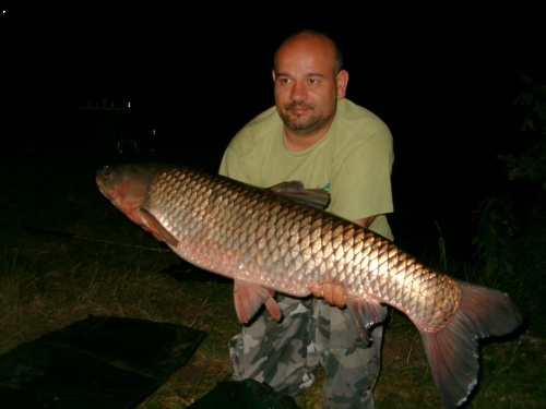 amur104cm 14kg