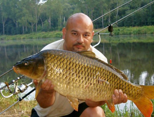 kapr 75cm10kg