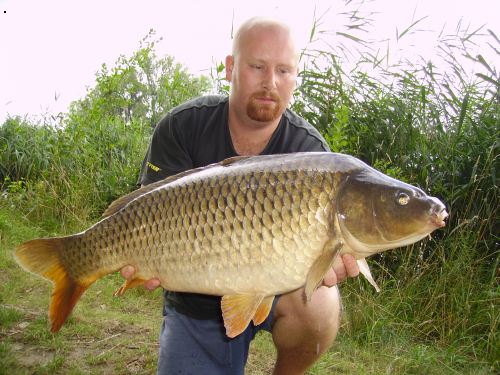 kapr 81cm 11kg