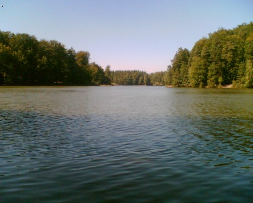 Sta�kov