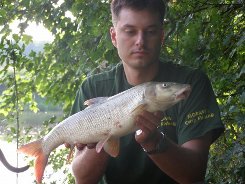 63cm;2,8kg
