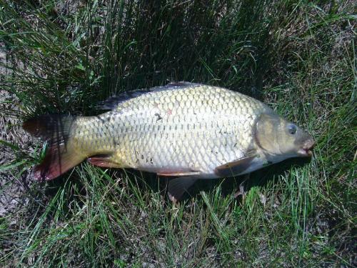 vypasen� miminko 43cm/2kg