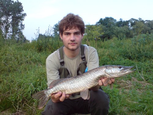 Poorlicko 2007