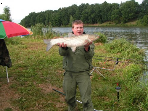 amur 82 cm