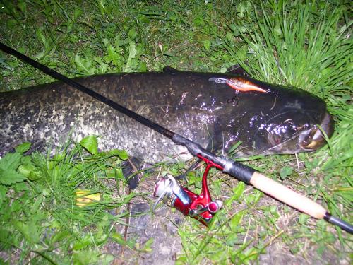 Libl�nsk� fous�� 120cm