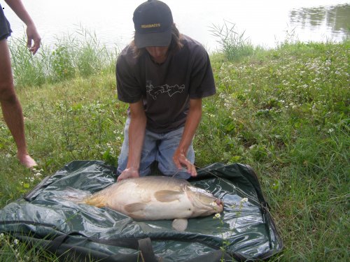 79cm 14kg