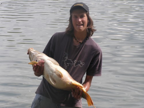 79cm 14kg