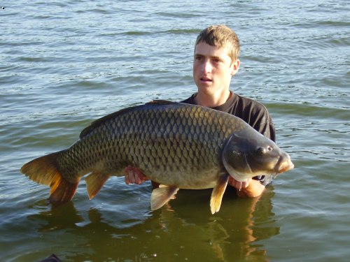 Kapr 97cm 16.5kg 