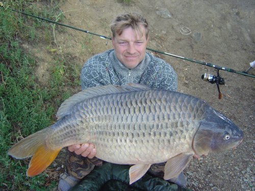 80cm 15kg