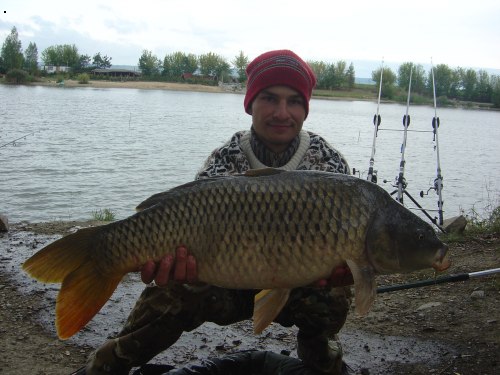 87 cm 15 kg