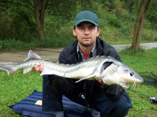 Jest�abice 29. 8. 2007