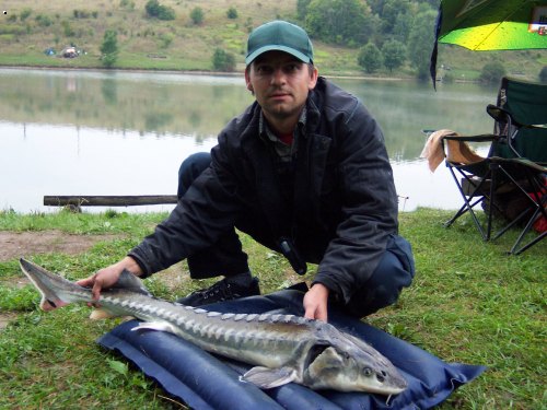 Jest�abice 29. 8. 2007