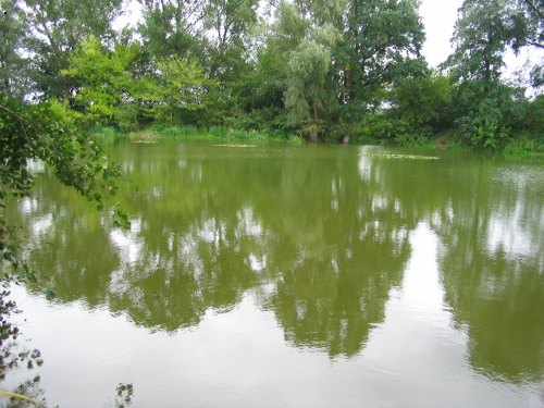 Babice 1