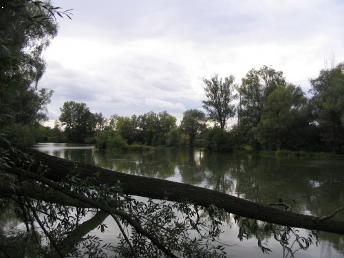 Babice 1