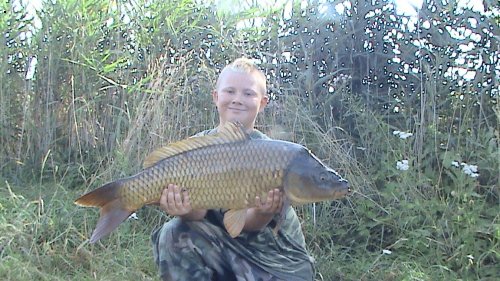 7kg