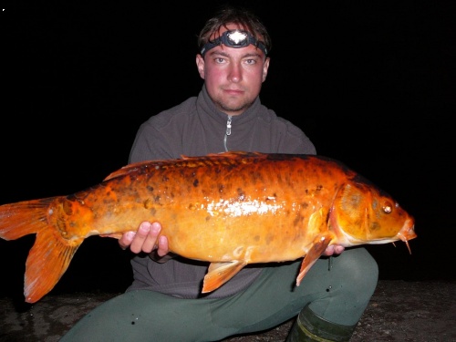 Kapr 81cm 10,5 kg
