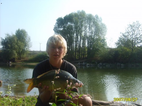 Kapr kv�tinov�