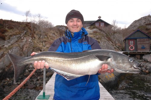 Hitra 2006 - p��vla�
