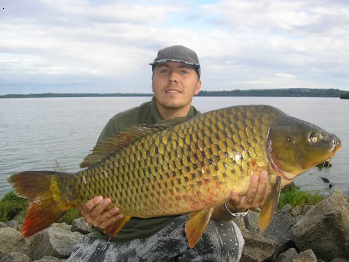 Kapr 94cm a "jen 13,5kg"
