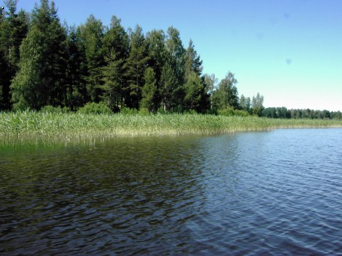 Glafsfjorden