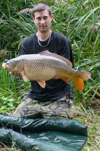77cm 8,5kg