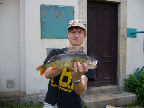 OKOUN 40 CM