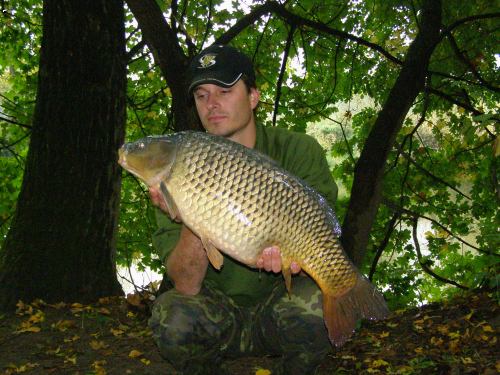 74cm,8,5kg