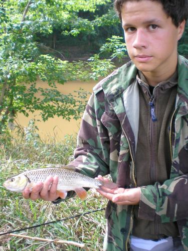 tlou�t 35