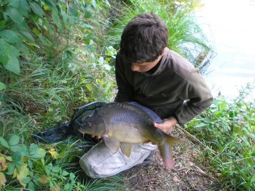 60 cm