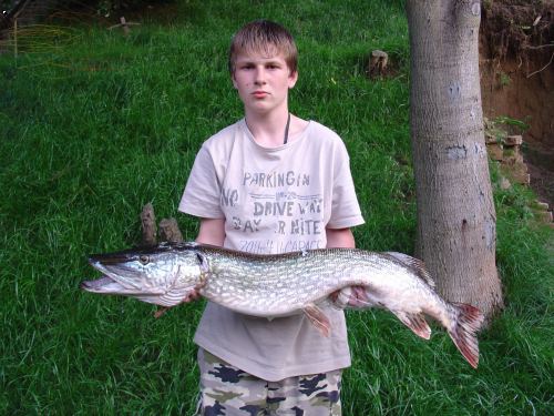 Muj k�mo� chytl svoji rekordn� �tiku