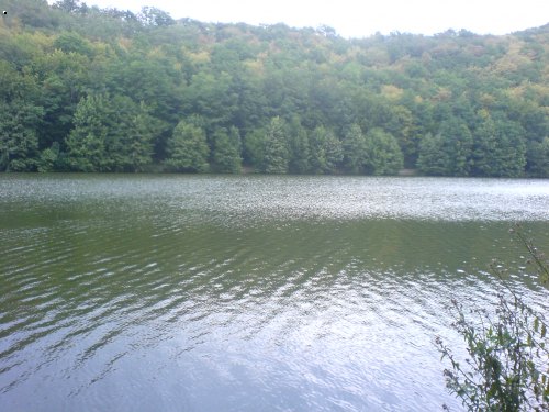 L��e�sk� ���ka 2 - 17.8.2007