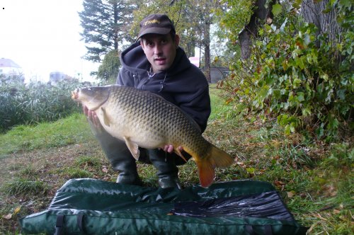 80cm 10,20kg
