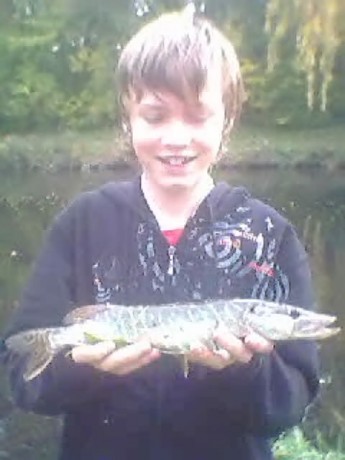 Kudla (asi 45cm)