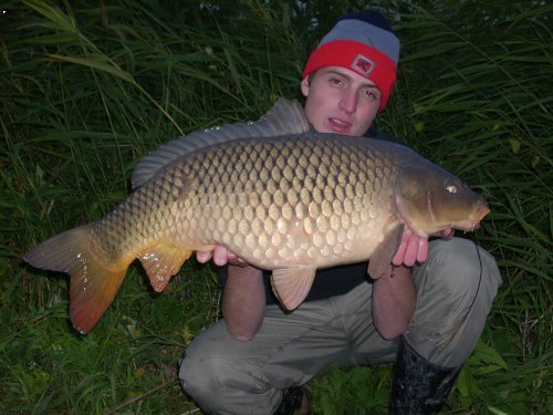 Kapr 81cm -10kg