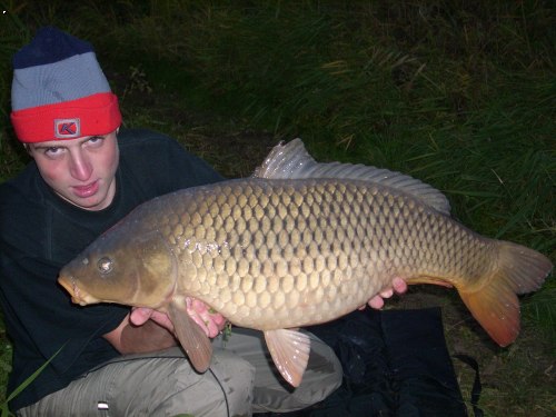 Kapr 81cm -10kg