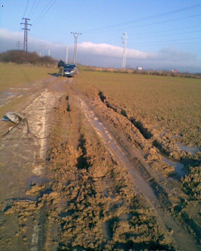 V�sledok krosovej vlo�ky ...